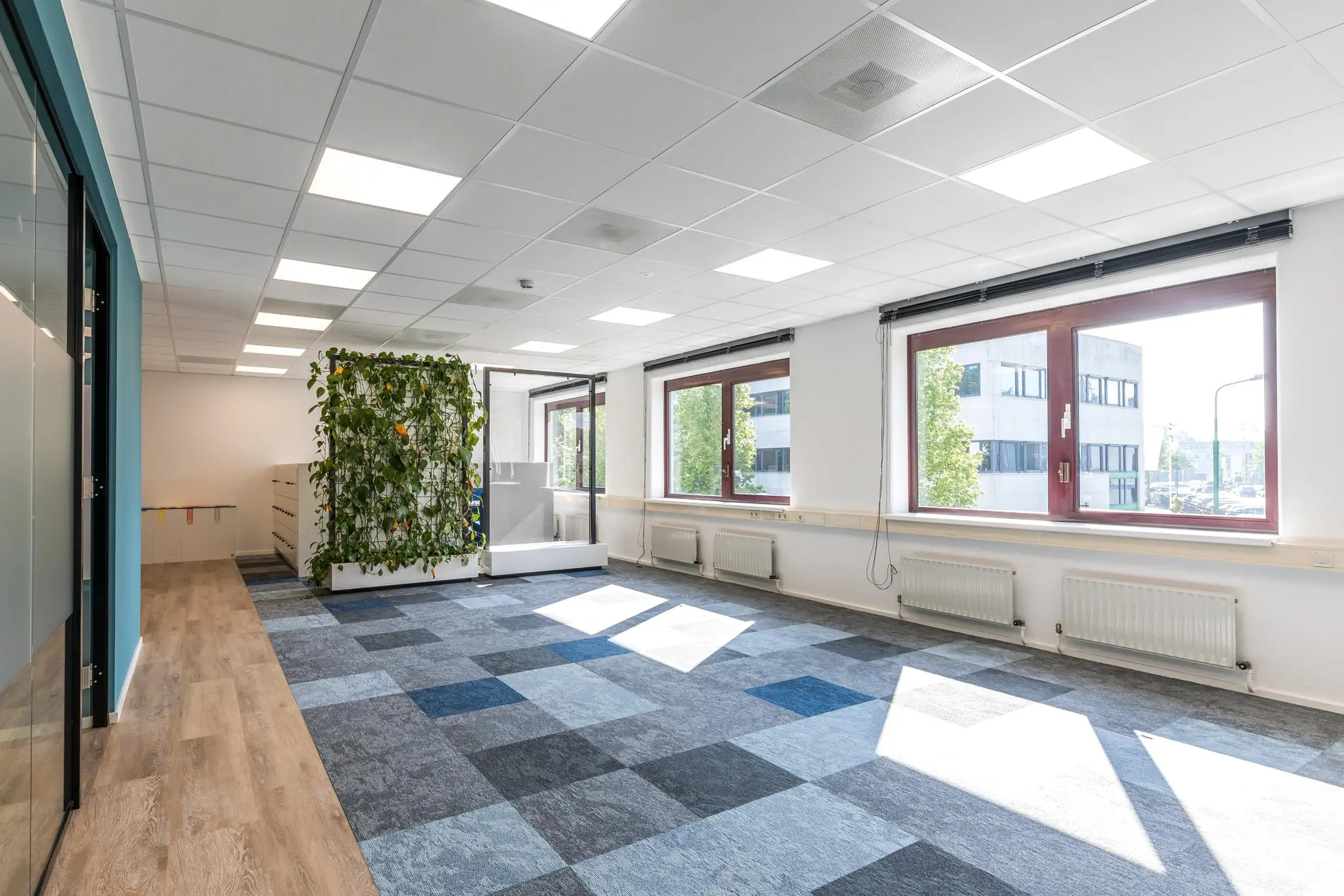 Licht en modern kantoorinterieur aan de Baarnsche Dijk met grote ramen, blauwgrijze vloerbedekking en een groene plantenwand.